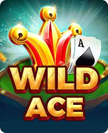 Wild Ace slot game on the 2J Game app